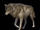 Wolf (animal)