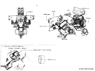 Mg rough1