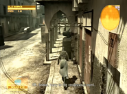 Snake traversing through the Middle East.