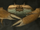 Arthropods (food)