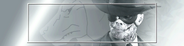 Skull Face [Silver]