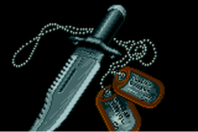 Metal Gear Solid 2 Walkthrough/Dog tags | Metal Gear Wiki | Fandom