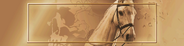 D-Horse [Bronze]