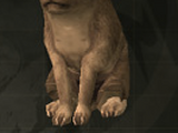 Miscellaneous animals (food)