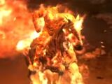 Man on Fire's horse