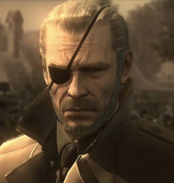 MGS4
