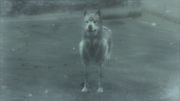 A wolf in the snowfield (Metal Gear Solid 4)
