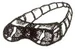 MG1 infrared goggles
