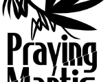 Praying Mantis