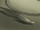 Leech