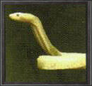 Schlange k solidussnake.jpg
