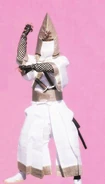 Anthropomorphic Ninja Vermillion Lizard (5, 31, 41)