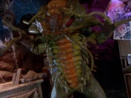 Shellator (deceased)