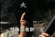 Special Ninja Team (16)