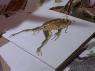 Drawing of Shellator