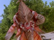 Aqualungs (deceased)