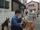 The Sorrowful Story of the Stray Dog