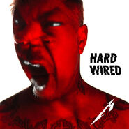 Hardwired (single) (62 KB)
