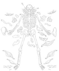 Tumblr mvjno6FmRm1qewem6o5 1280.jpg (279 KB) Lineart by David C. Smith of the Assassin's demise (censored/ gore turned down in the final release).