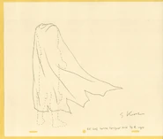 Skwisgaar's cape, from behind.