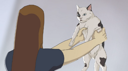 Really Cool Cat | The Metalocalypse Wiki | Fandom