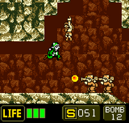 Curtis Cave path continues past the waterfall. The player cannot jump back and has to backtrack around to access this area again.