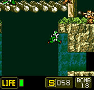 From the forest's bridge, drop from the right side and maneuver to the cliff entrance.
