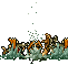 Tarma 21