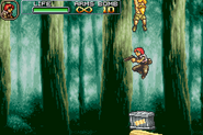Above the second log Marco Card