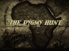 The Pygmy Hunt