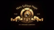 9th logo with CGI Leo
