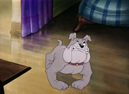 Dog Trouble (17).jpg (187 KB)