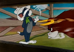 tom and jerry cowboy cigarette Texas Tom | MGM Cartoons Wiki
