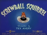 Screwball Squirrel