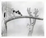 Still photo