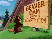 Busybody Bear - Beaver Dam under construction