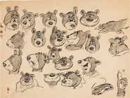 Model sheet