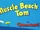 Muscle Beach Tom