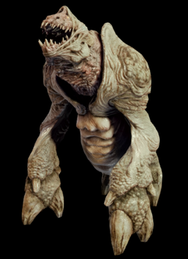 MLLDEVNosalisRhino