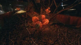 ME Screenshot Nettle