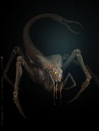 Tkach - Spider-scorp.jpg (97 KB) Concept art by Vlad Tkach