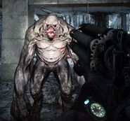 A Librarian as seen in Metro 2033 Redux