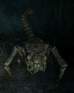 Spiders2.png (357 KB) Male