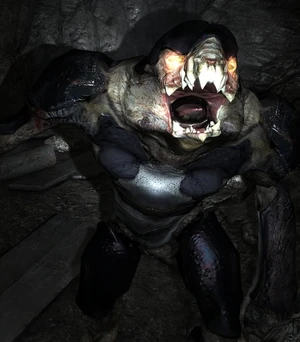 524px-Platednosalis3