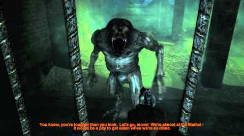 Lost Catacombs (Metro 2033 Level)/Walkthrough