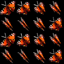 Butterflies texture (MP1).png (8 KB) Texture for Prime