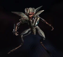 Grumete Blindado modelo MP3