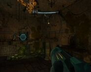 Ruined Gallery.jpg (49 KB) Two War Wasps defend their hive.