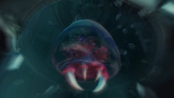 An unfreezable Metroid in its tank. Note its unique coloration and spiked nuclei.