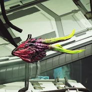 A Dredhed in Dairon.